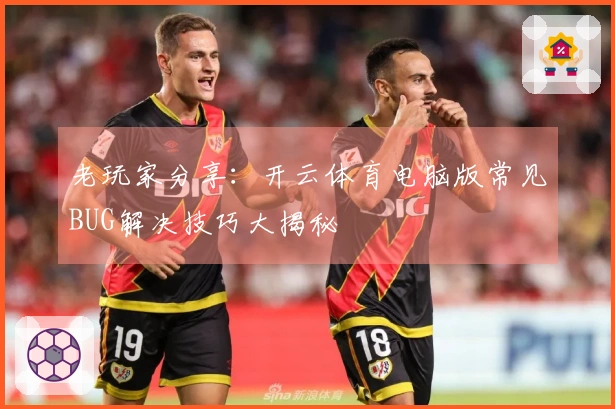 老玩家分享：开云体育电脑版常见BUG解决技巧大揭秘
