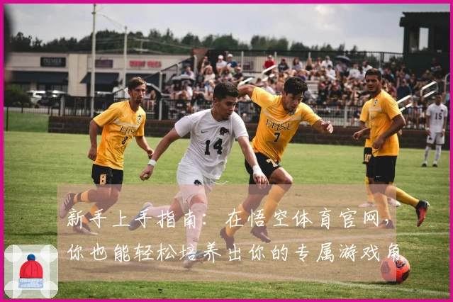 新手上手指南：在悟空体育官网，你也能轻松培养出你的专属游戏角色！