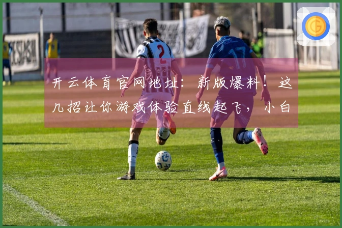 开云体育官网地址：新版爆料！这几招让你游戏体验直线起飞，小白也能变大神！